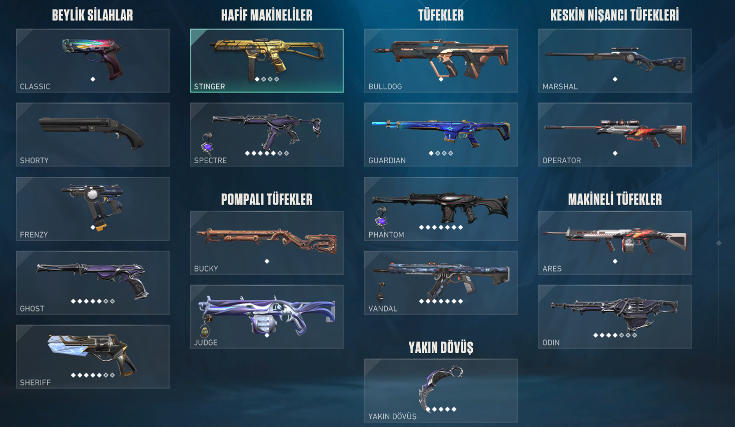 Yağmacı Karambit, Yağmacı Vandal +50 Skin