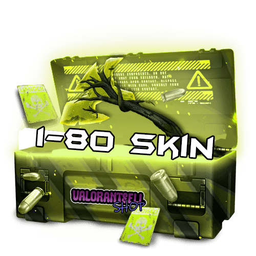 %100TR 1-80Skin Random Hesap