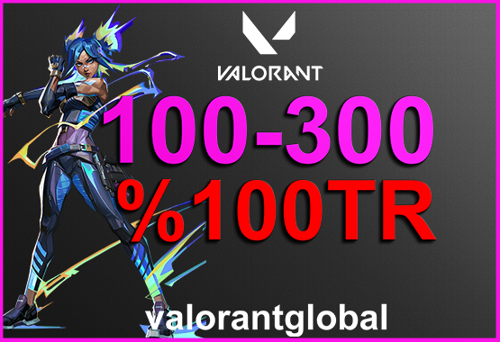 %100TR 100-300 FULL ENVANTER HESAPLAR