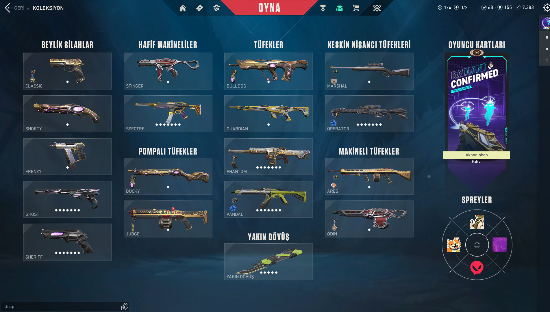 Rgx Bıçak, Asil Vandal +50 Skin